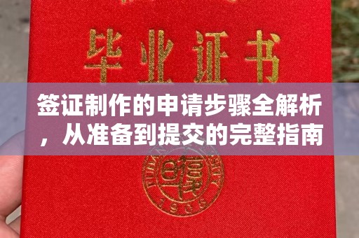 宝清签证制作的申请步骤全解析，从准备到提交的完整指南
