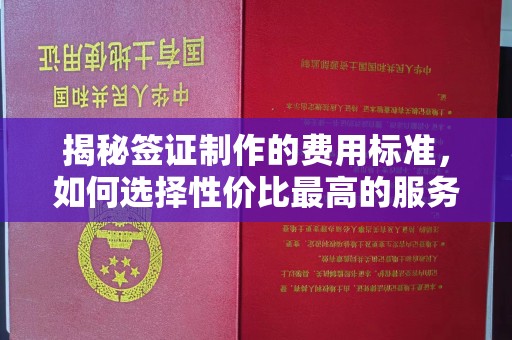 宝清揭秘签证制作的费用标准，如何选择性价比最高的服务？