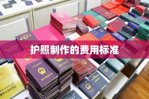 宝清护照制作的费用标准