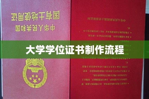 宝清大学学位证书制作流程