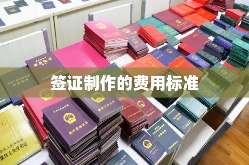 宝清签证制作的费用标准